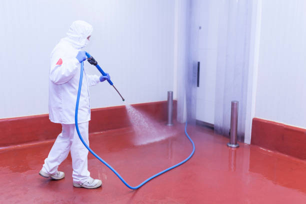 Best Patio and Deck Pressure Washing  in Philipsburg, PA